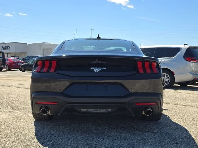 Used 2024 Black Ford EcoBoost image 4