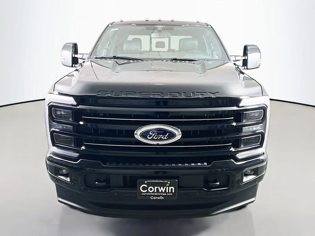 New 2026 Agate Black Metallic Ford Platinum image 4
