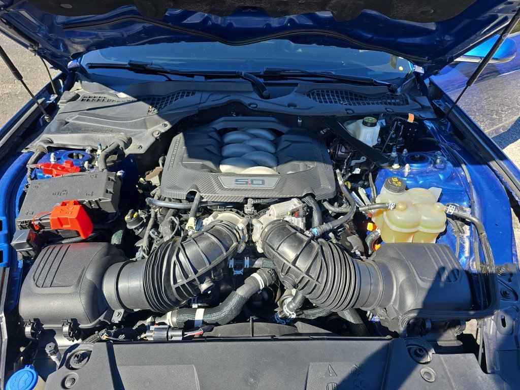 Used 2024 Blue Ford GT image 22