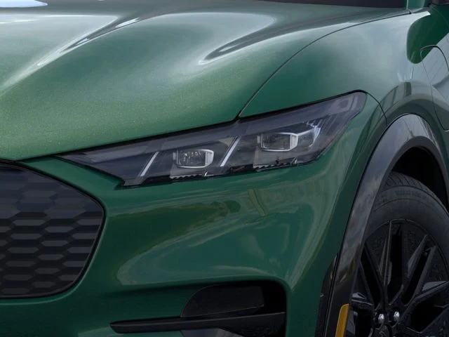 New 2026 Eruption Green Metallic Ford Premium image 40