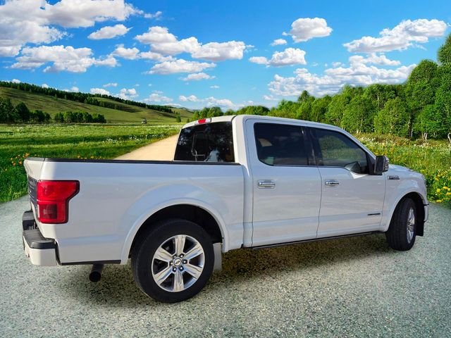 Used 2018 White Ford Platinum image 3