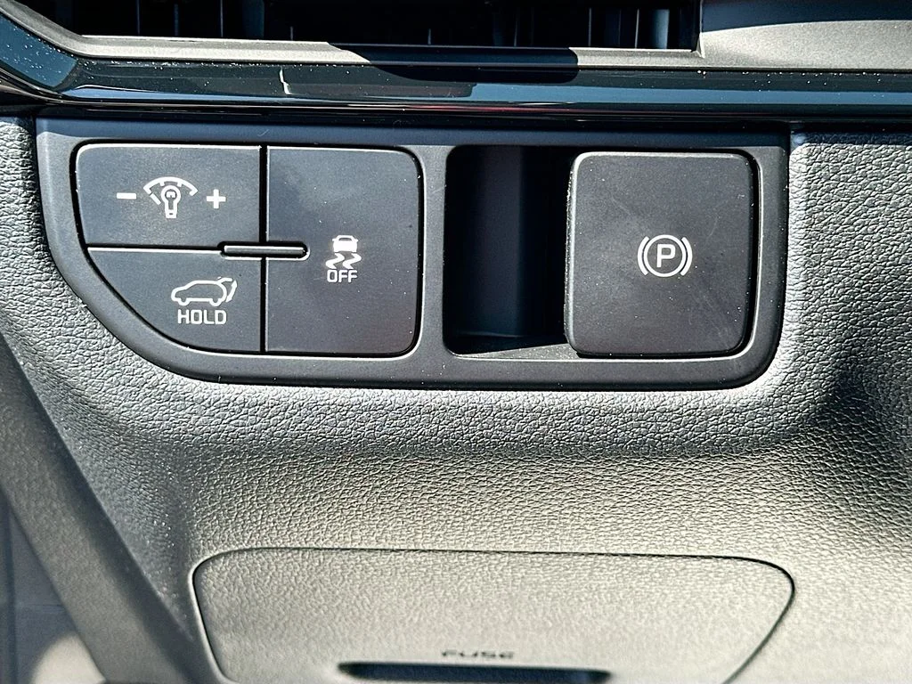 New 2026 Panthera Metal Kia EX image 10