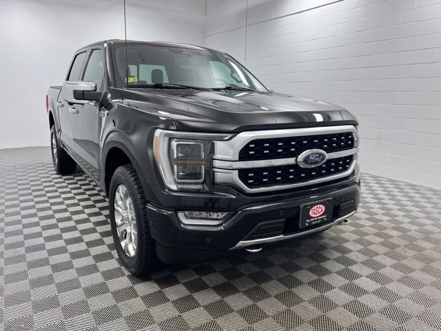 Used 2023 Black Ford Platinum image 1