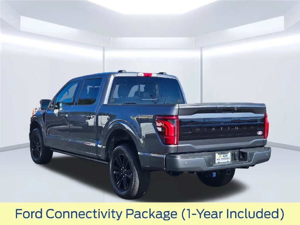 New 2026 Gray Ford Platinum image 21