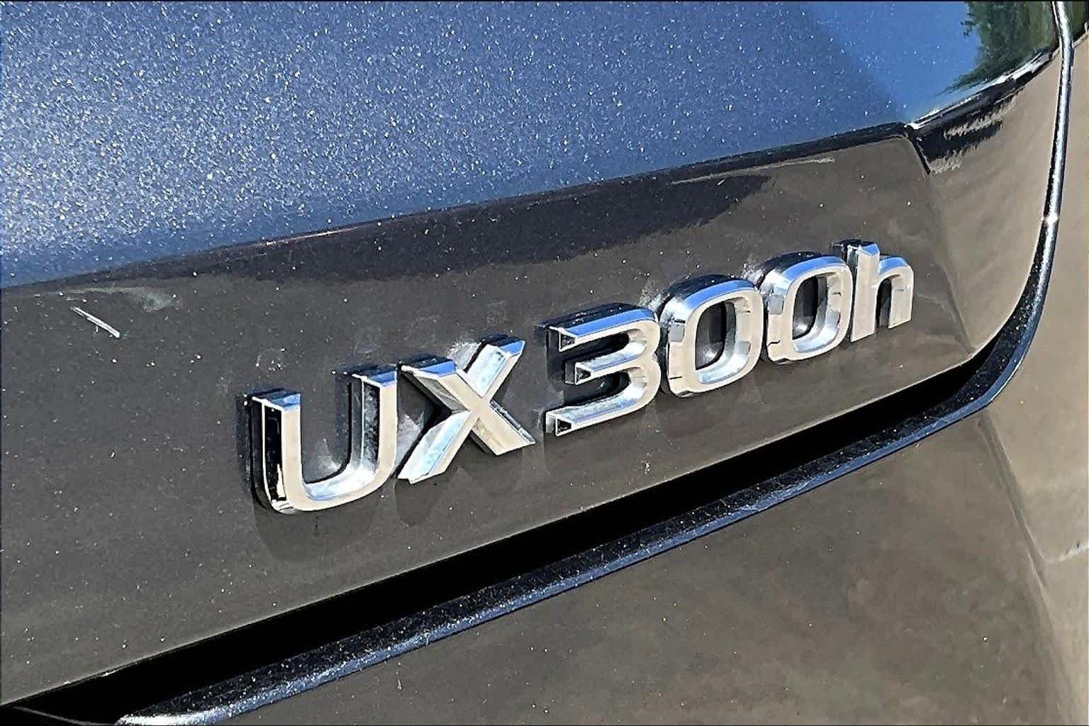 Used 2025 CLOUDBURST GRAY Lexus Premium image 28