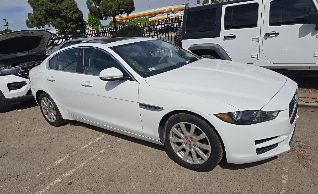 Used 2019 Fuji White Jaguar 25t image 2