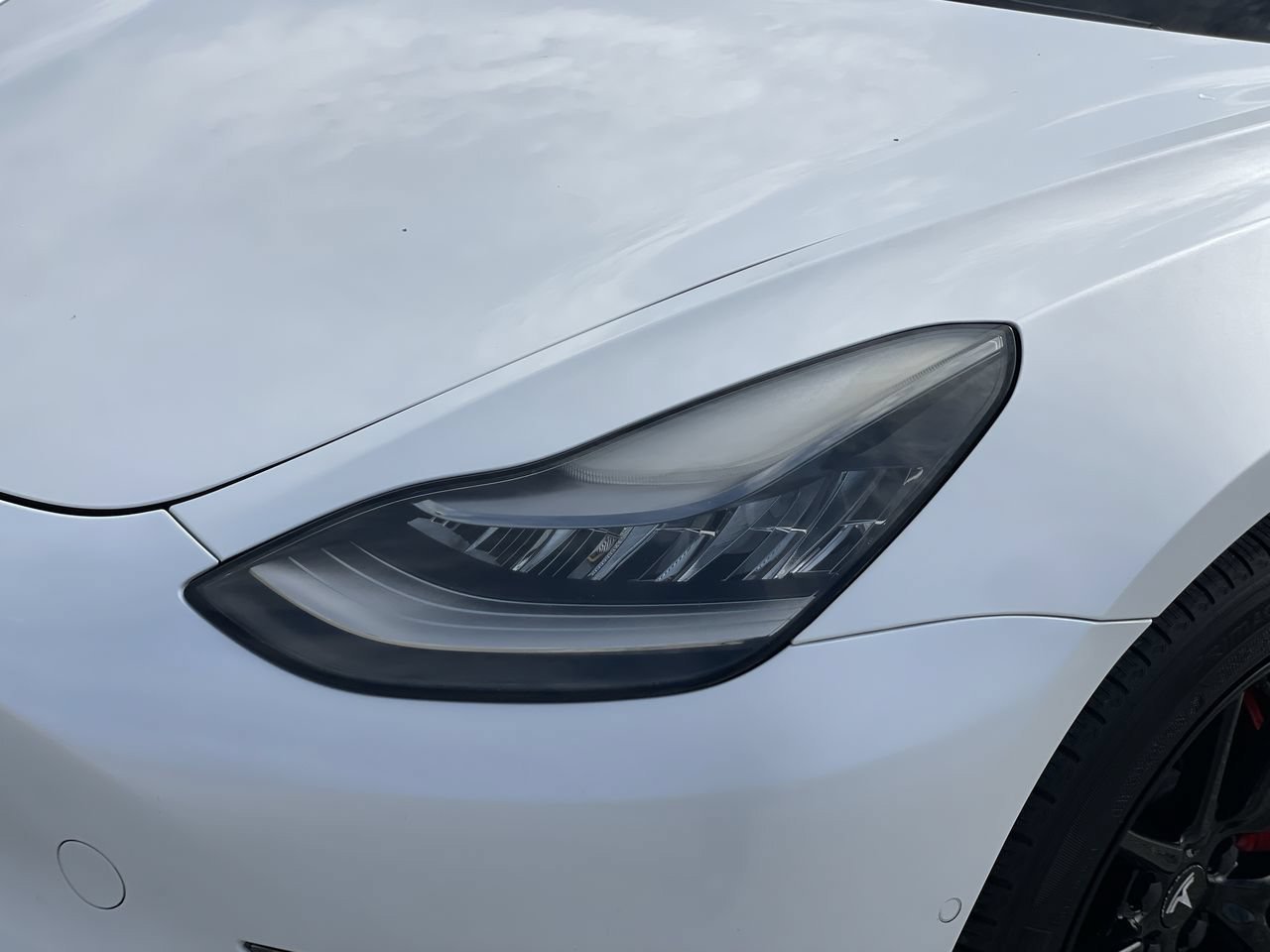 Used 2019 Pearl White Multi-Coat Tesla Standard image 6