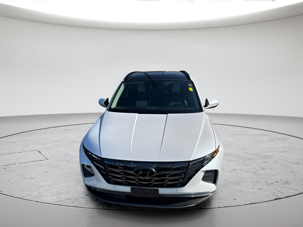 Used 2022 White Hyundai Limited image 2