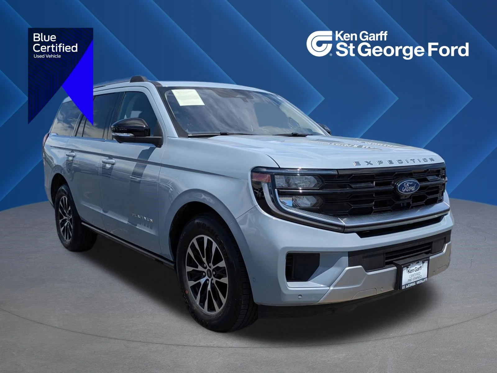 2025 Ford Expedition Platinum 4x4's photo