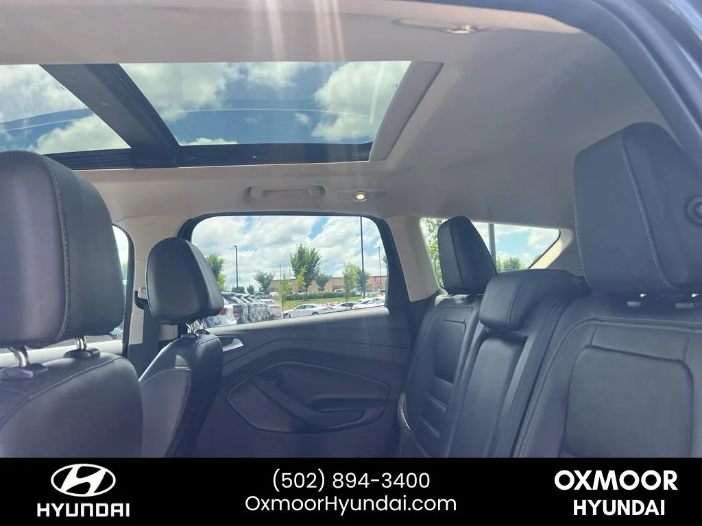 Used 2017 Magnetic Metallic Ford Titanium image 17