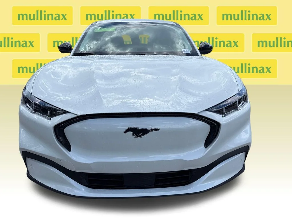 New 2026 White Ford Premium image 12