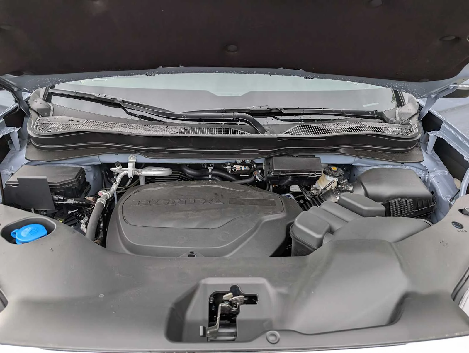 New 2026 Sonic Gray Pearl Honda RTL image 12