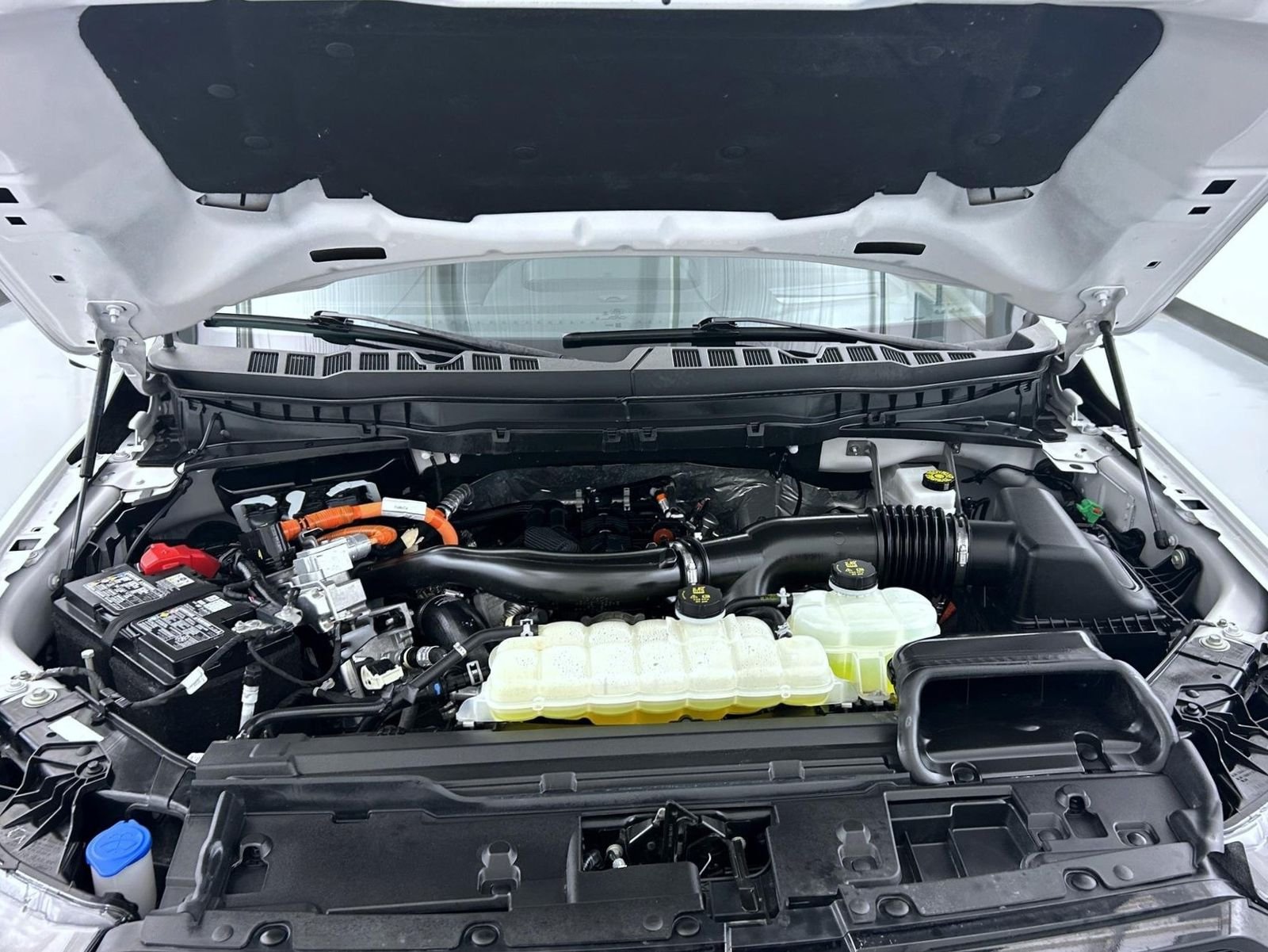 Used 2025 White Ford Platinum image 27