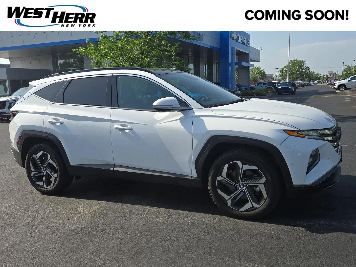 2024 Hyundai Tucson Limited AWD's photo