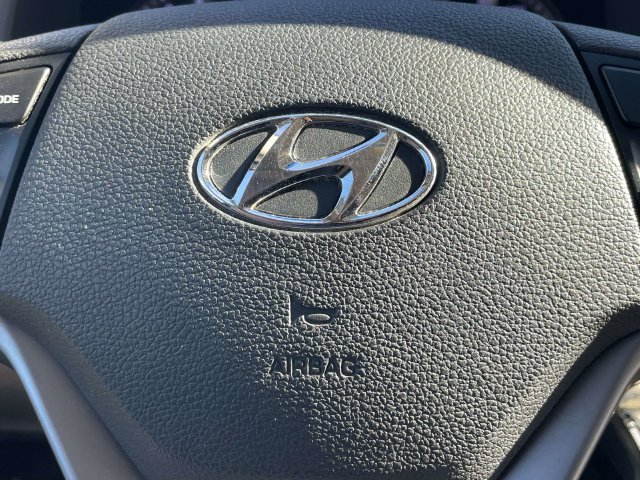 Used 2017 Ruby Hyundai Eco image 21
