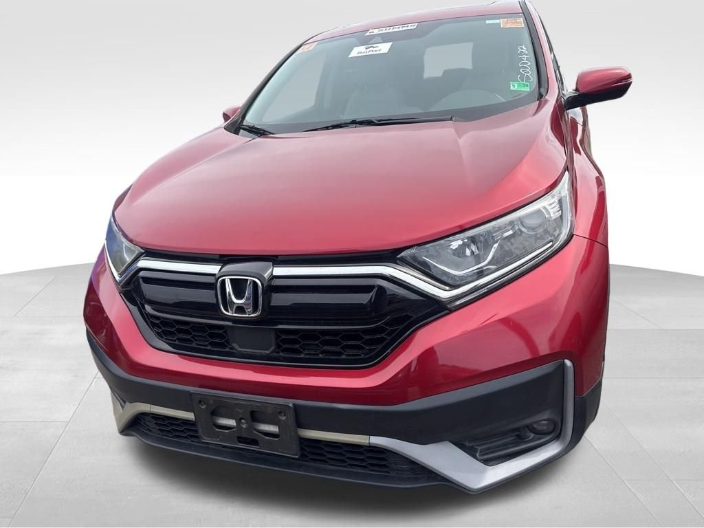 Used 2020 Gray Honda EX-L image 4