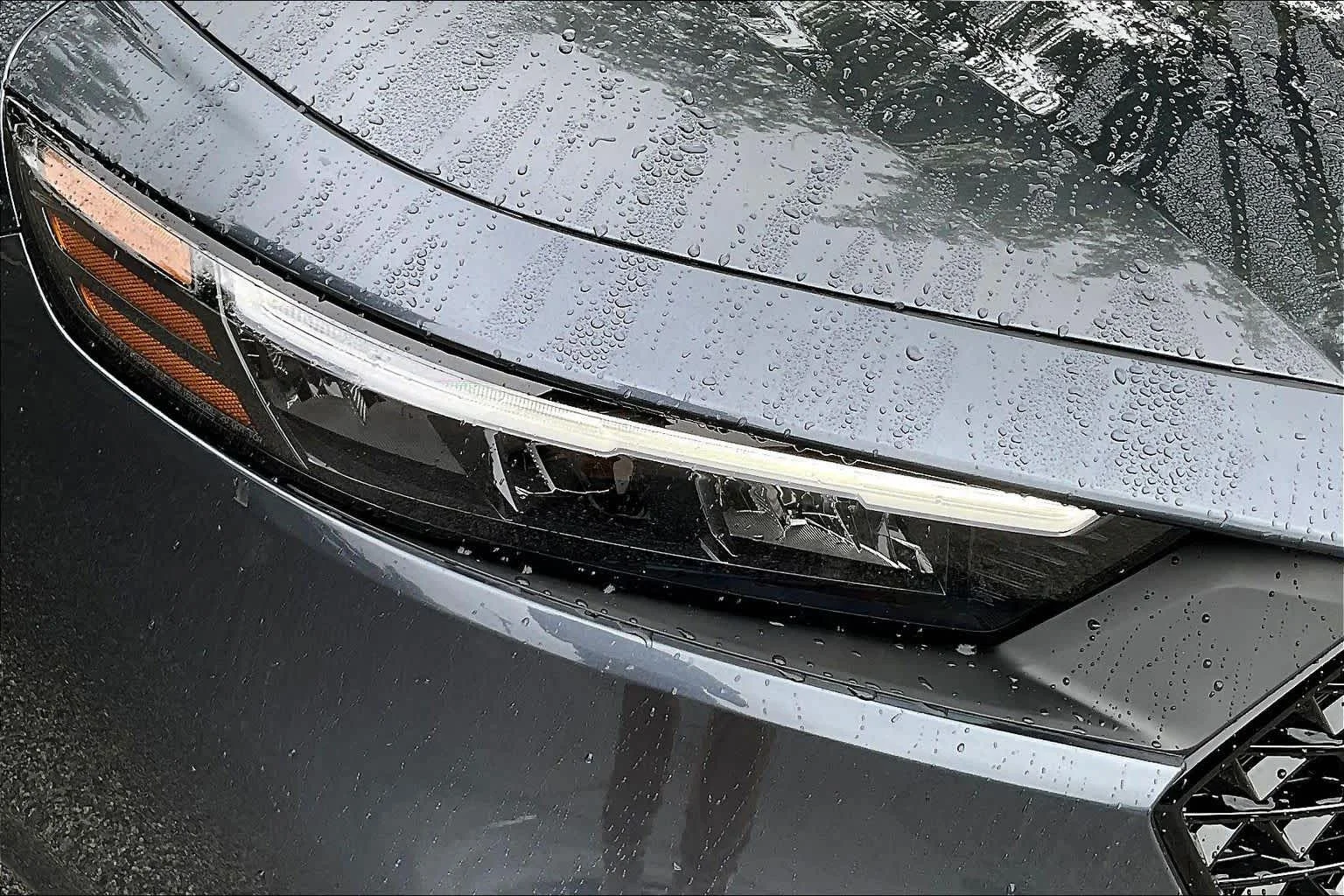 New 2026 Meteorite Gray Metallic Honda LX image 13