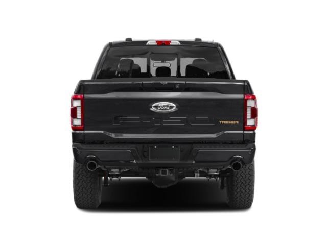Used 2021 Stone Gray Ford  image 5