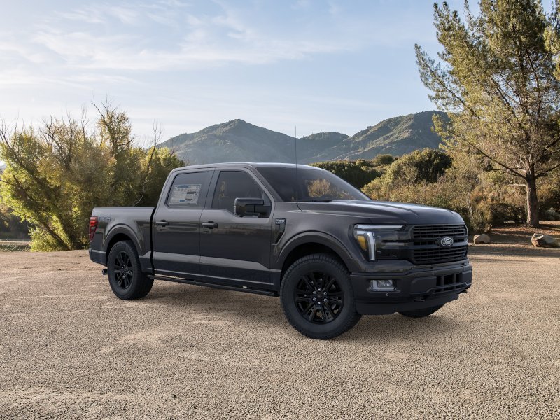 New 2025 Agate Black Metallic Ford Platinum® image 29