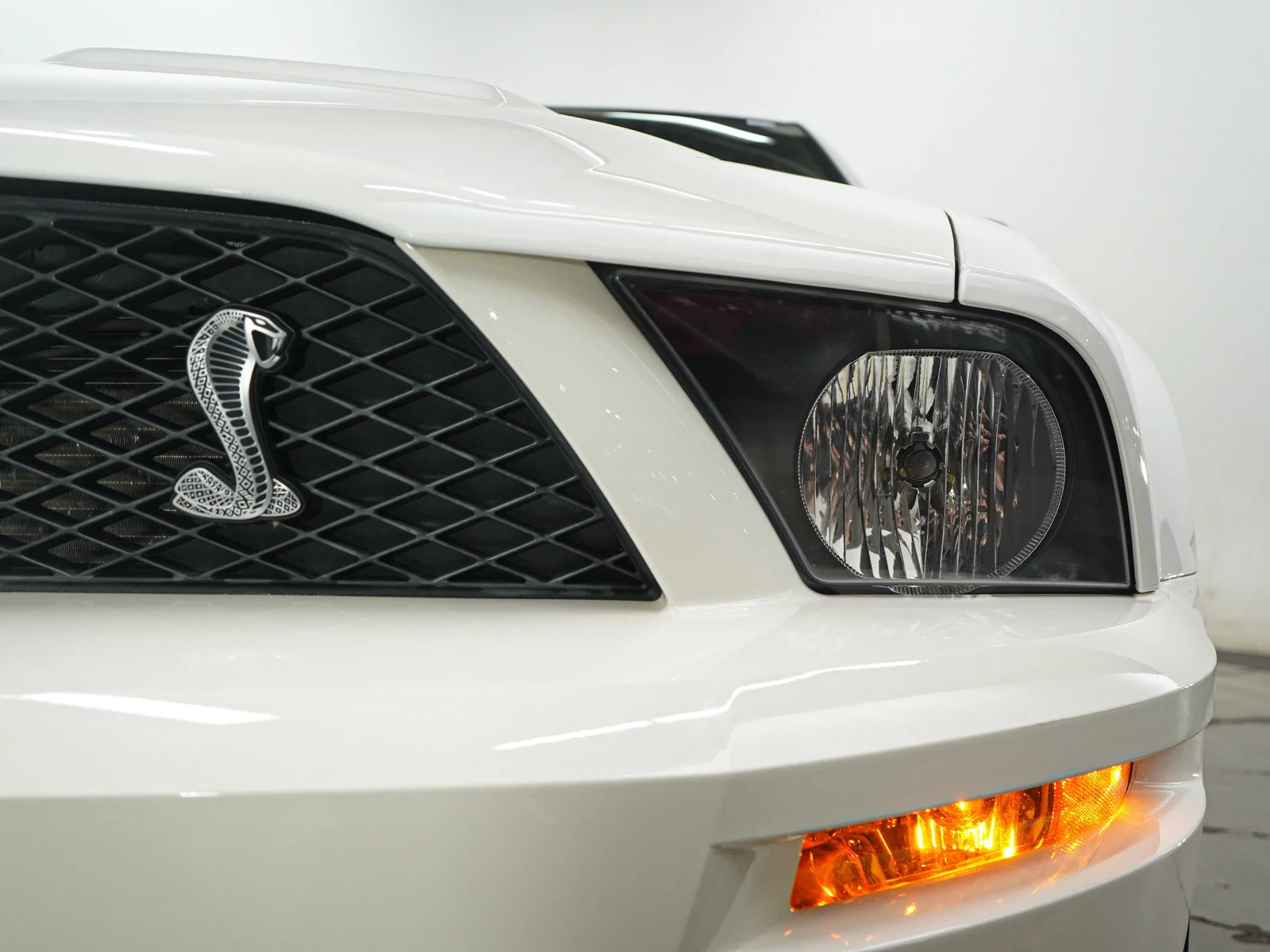 Used 2009  Ford Shelby GT500 image 11