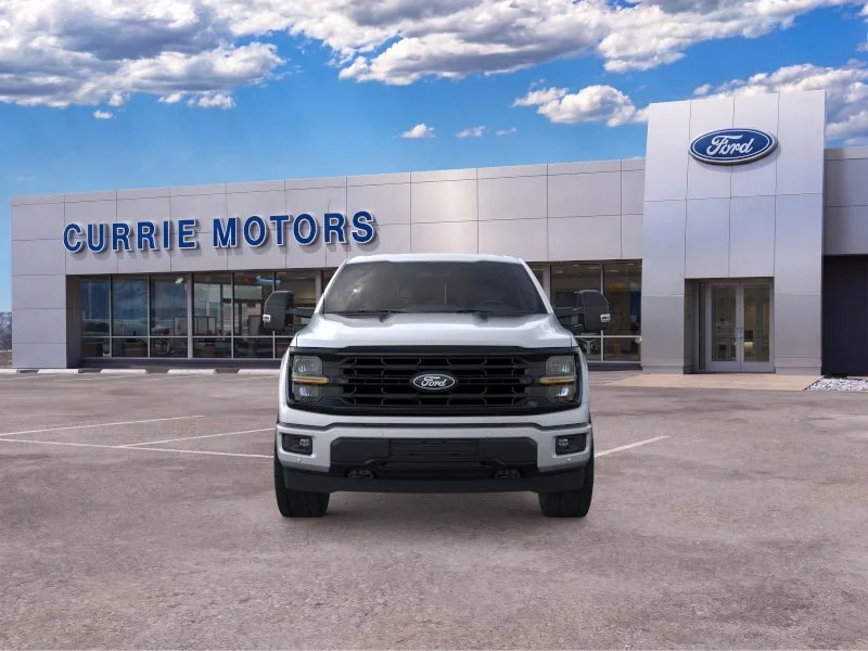 New 2026 Iconic Silver Metallic Ford LIFTED image 26