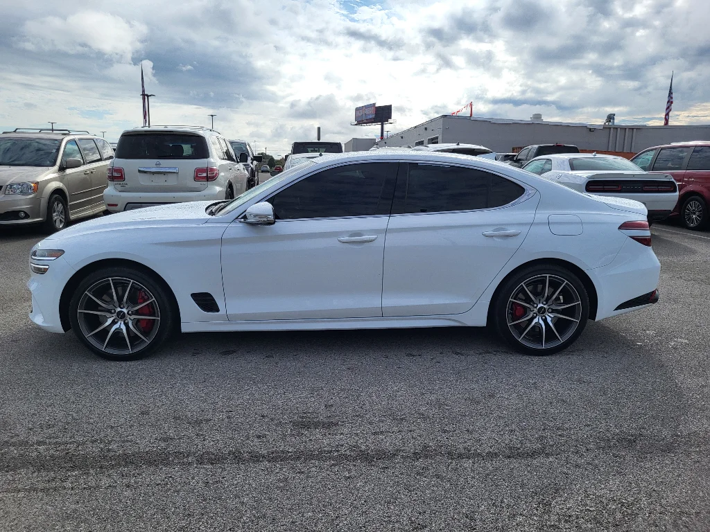 Used 2025 Alta White Genesis 2.5T image 9