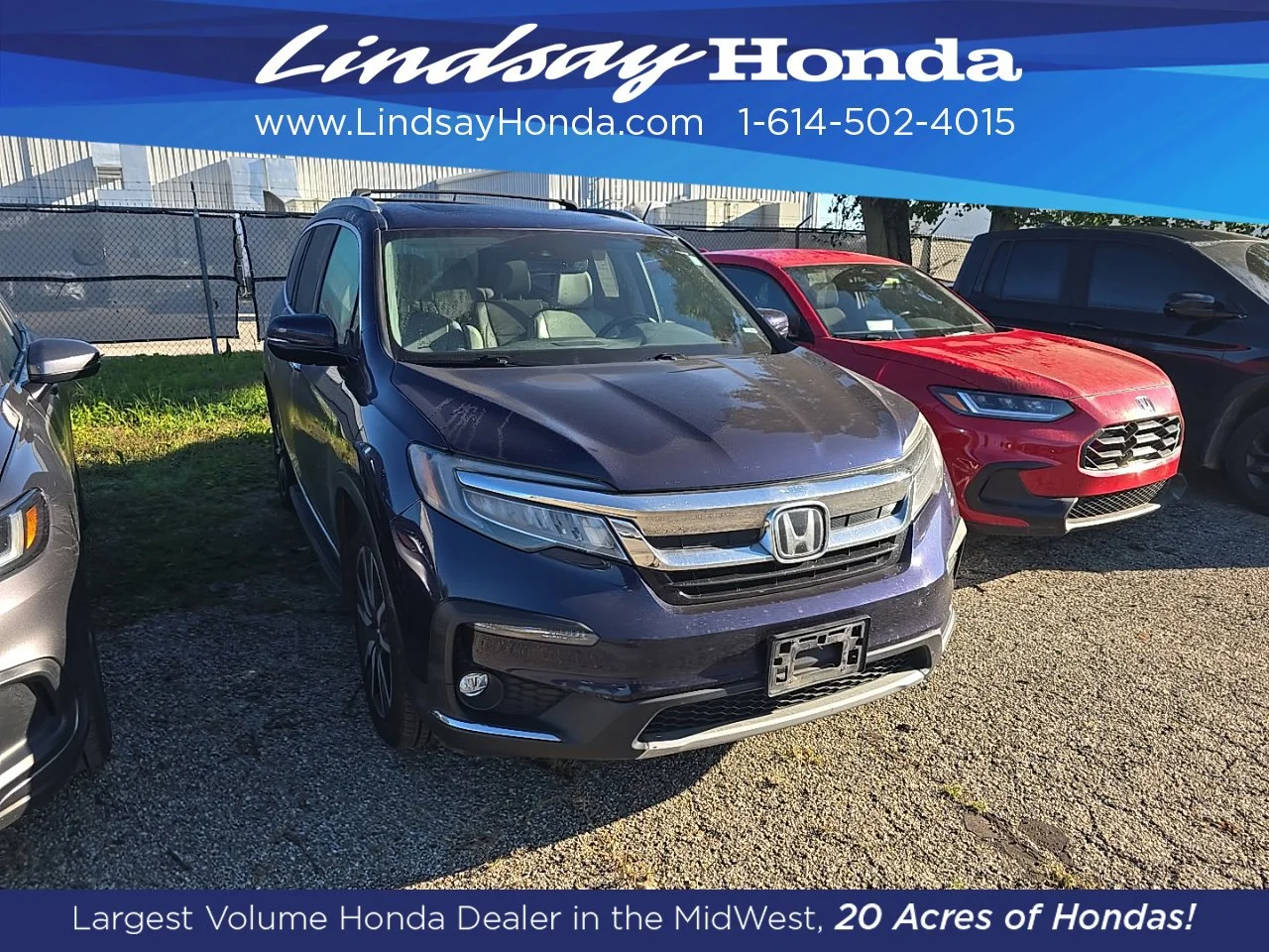 Used 2019 Obsidian Blue Pearl Honda Elite image 3