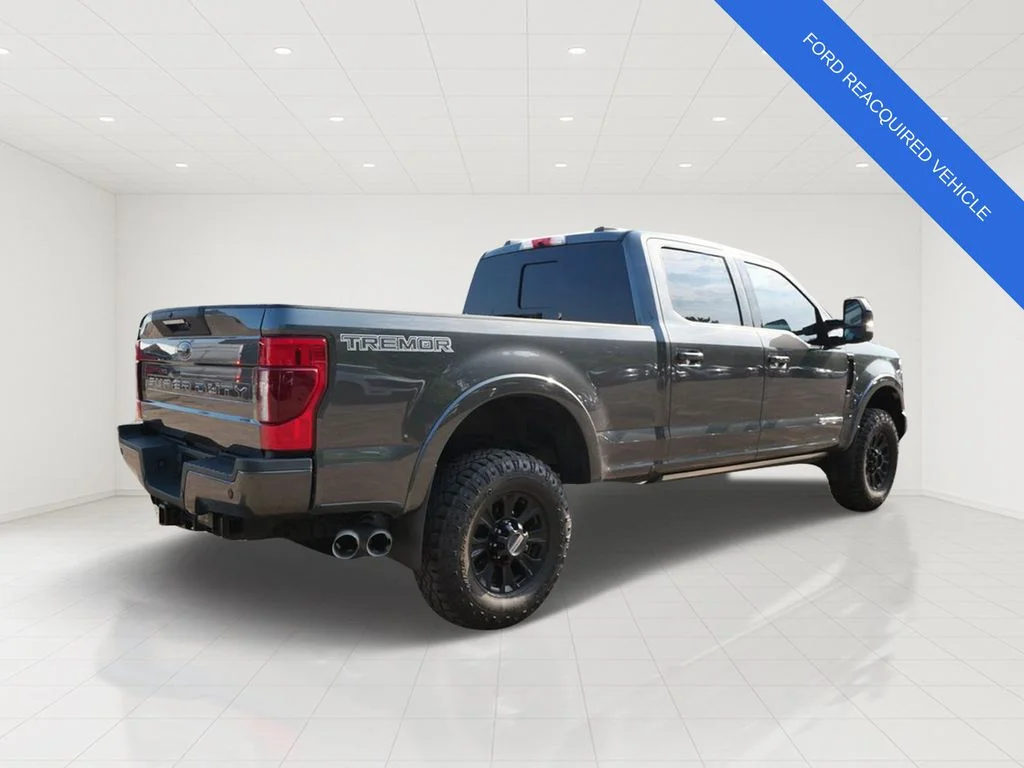 Used 2020 Gray Ford Lariat image 6