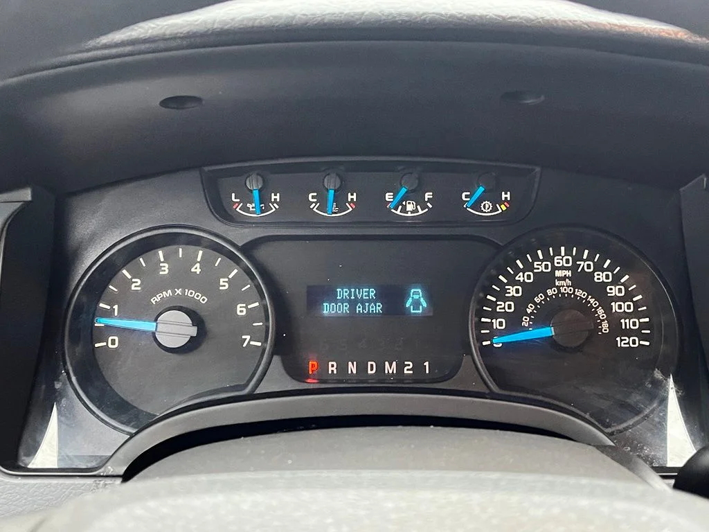 Used 2014 Blue Ford STX image 22