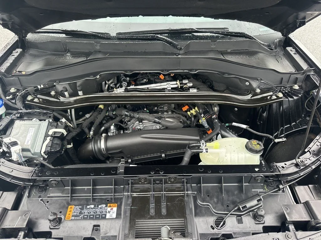 Used 2025 Black Ford ST-Line image 35