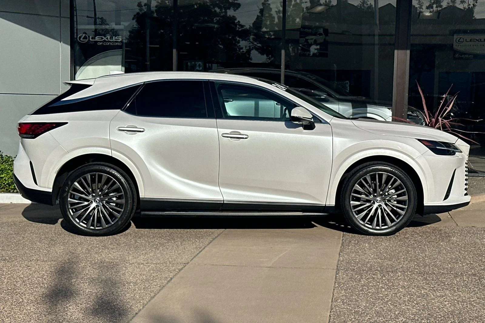 Certified Used 2024 EMINENT WHITE PEARL Lexus 350h Luxury image 3