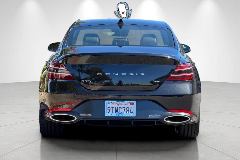 Used 2026 Vik Black Genesis 3.3T Sport Prestige image 5