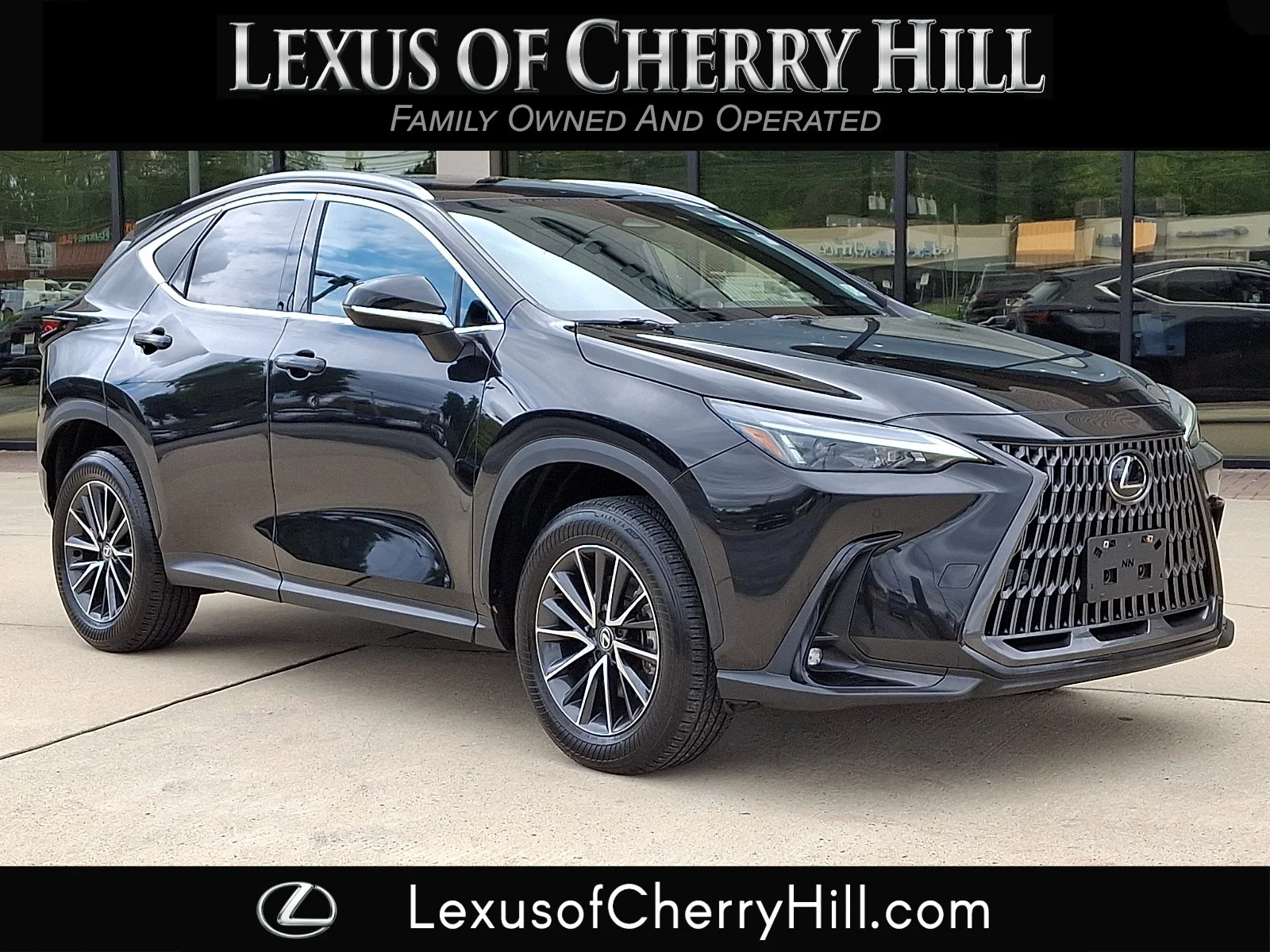 2024 Lexus NX