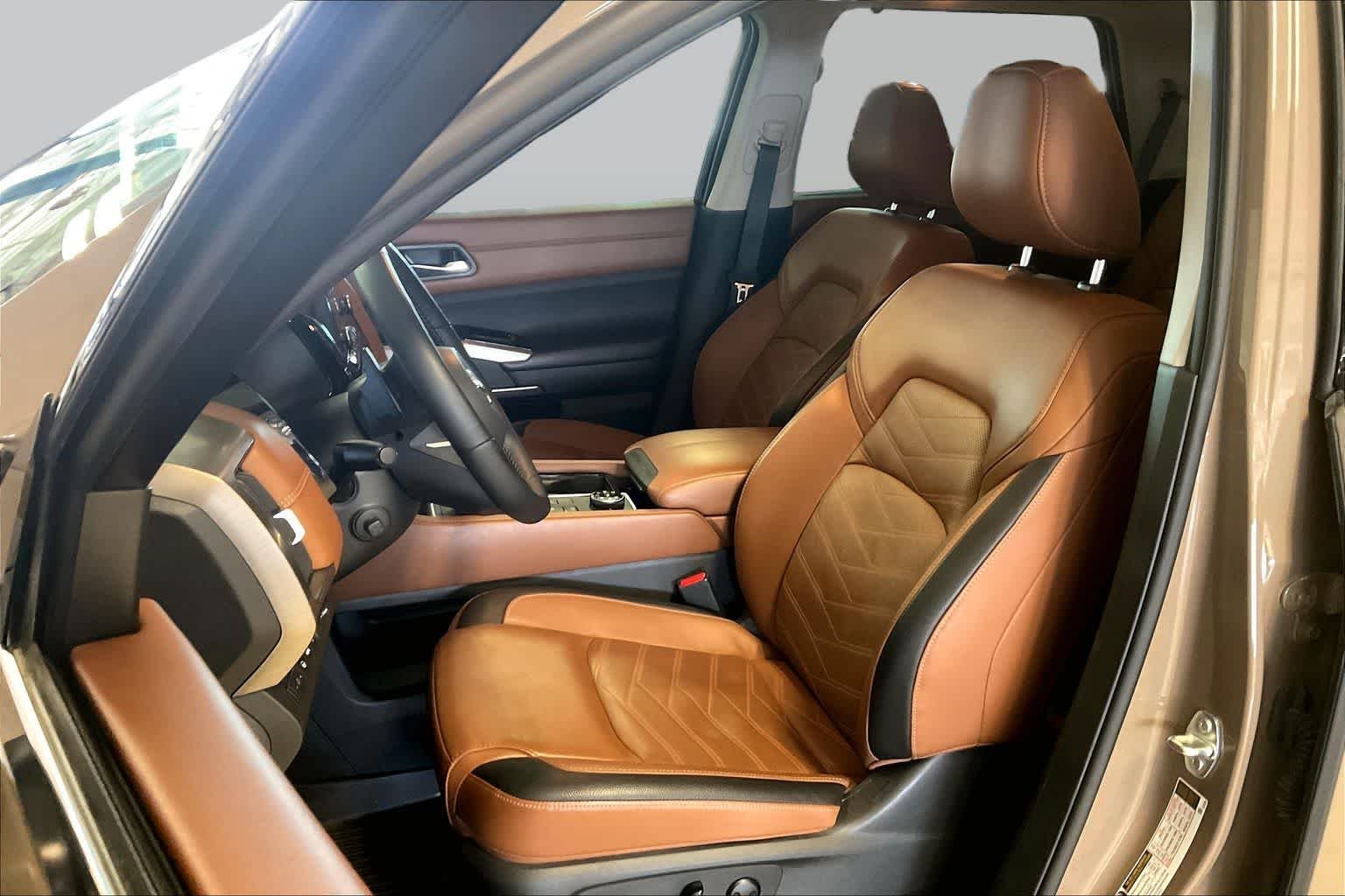 Used 2024 Baja Storm Nissan Platinum image 7