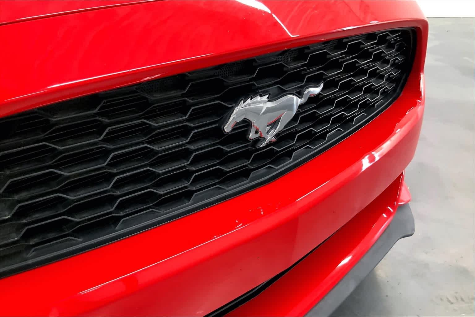 Used 2016 Race Red Ford V6 image 23