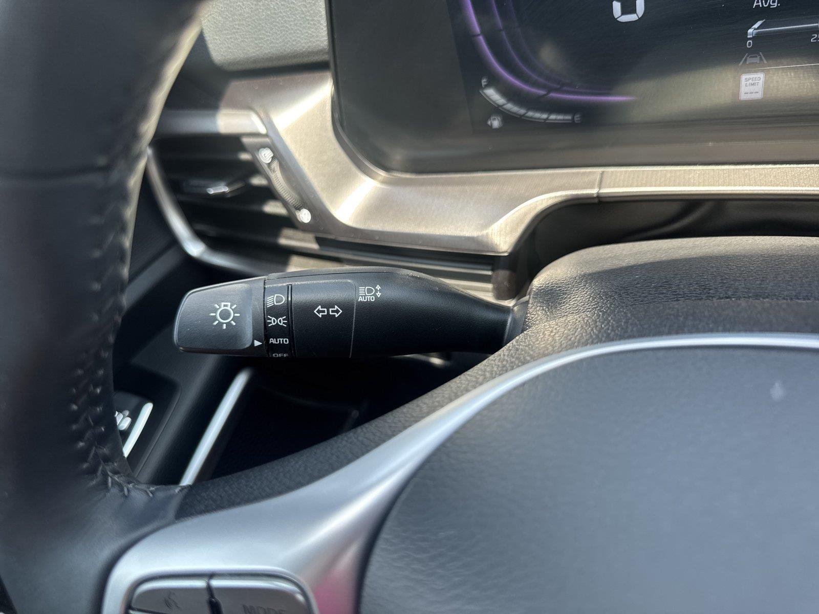 Used 2025 Panthera Metal Kia S image 19
