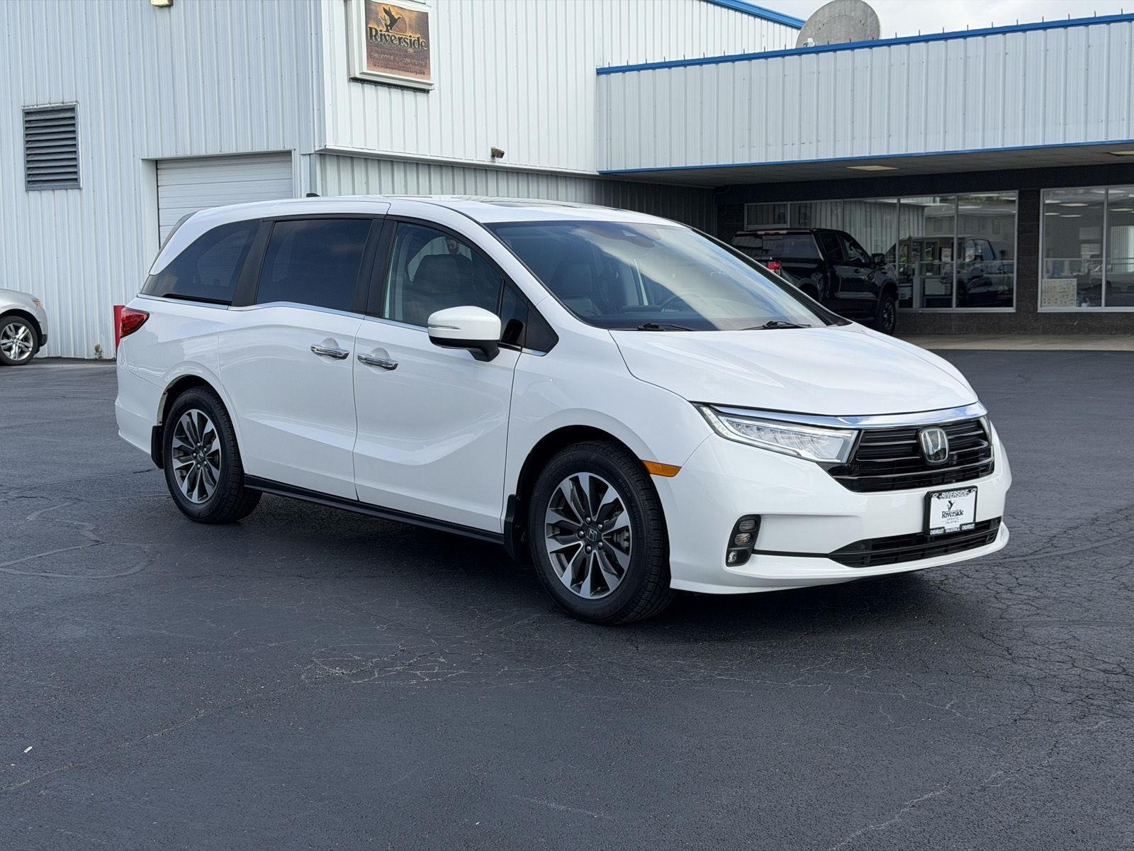 Used 2024 Platinum White Pearl Honda EX-L image 3