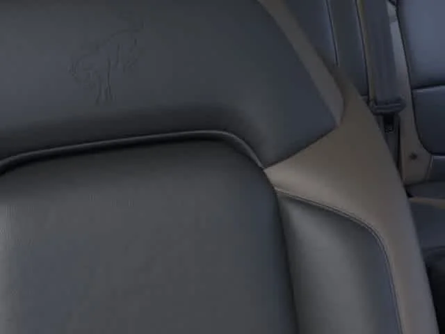 New 2026 Shadow Black Ford Big Bend image 6