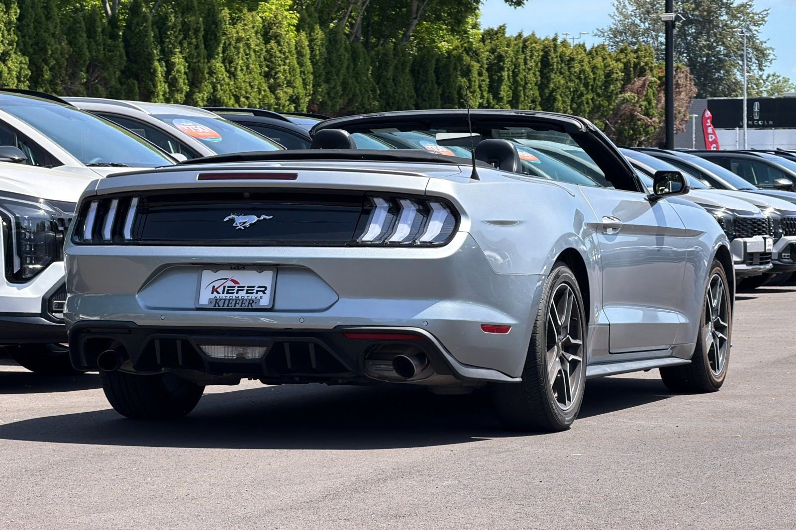 2023 Ford Mustang EcoBoost Premium - Photo 4