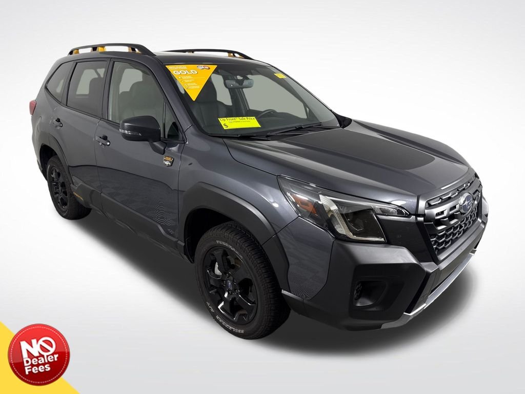 Used 2025 Gray Subaru Wilderness image 1