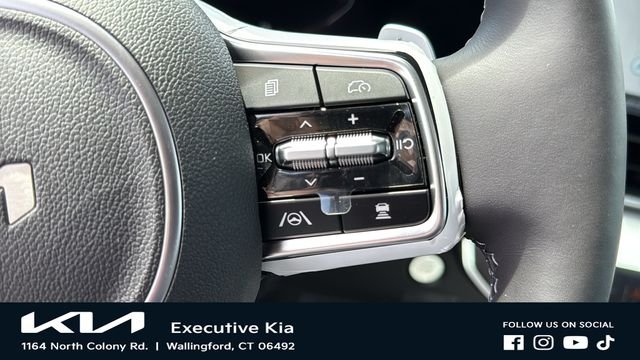 New 2026 Panthera Metal Kia SX Prestige image 14