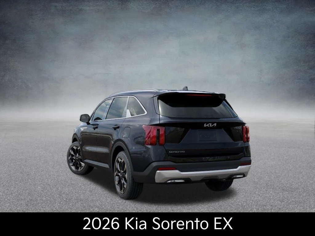 New 2026 Panthera Metal Kia EX image 4