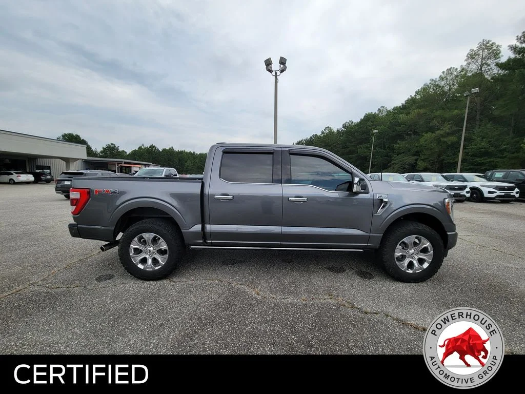 Used 2023 Gray Ford Platinum image 8