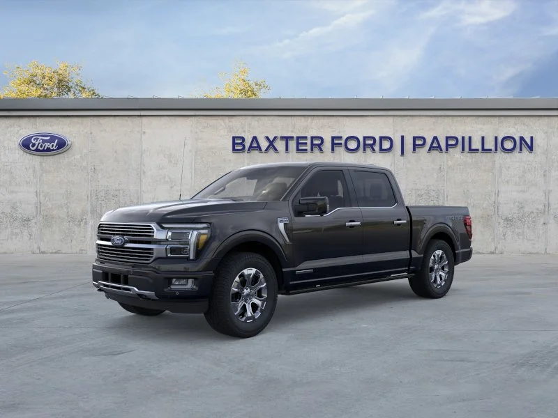 New 2026 Agate Black Ford Platinum image 38