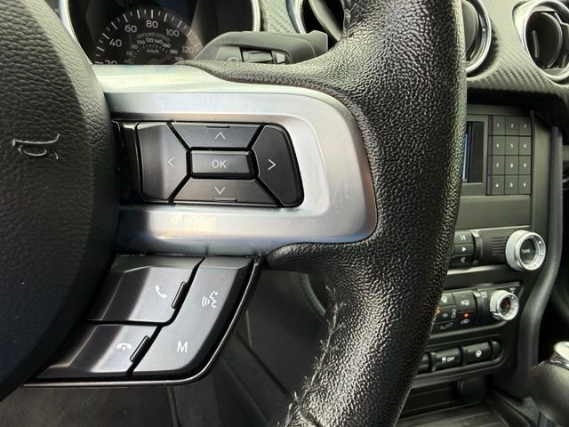 2023 Ford Mustang EcoBoost - Photo 18