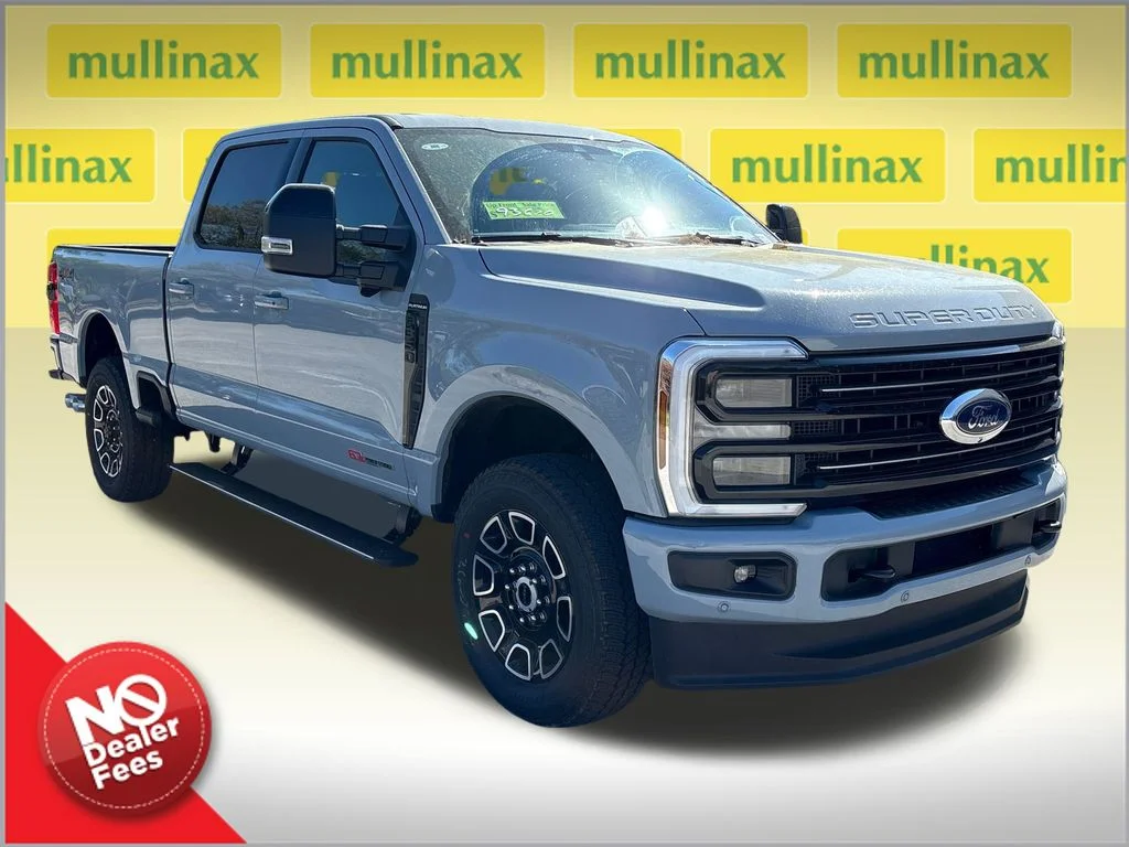 New 2026 Gray Ford Platinum image 1