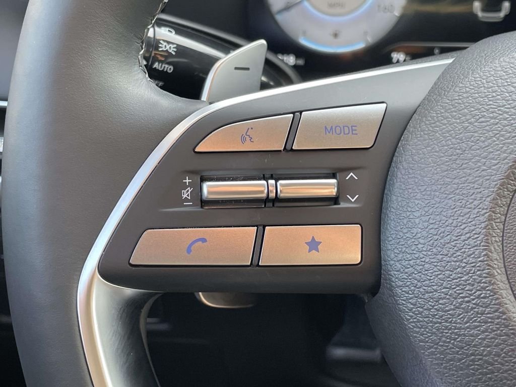 2025 Hyundai Palisade Limited - Photo 12