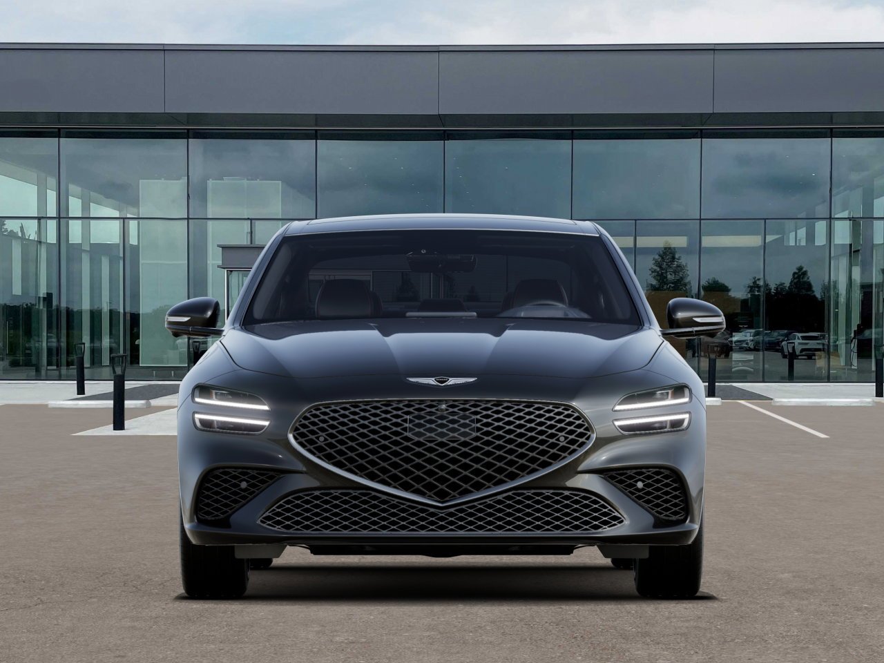 New 2027 Vik Black Genesis Standard image 8
