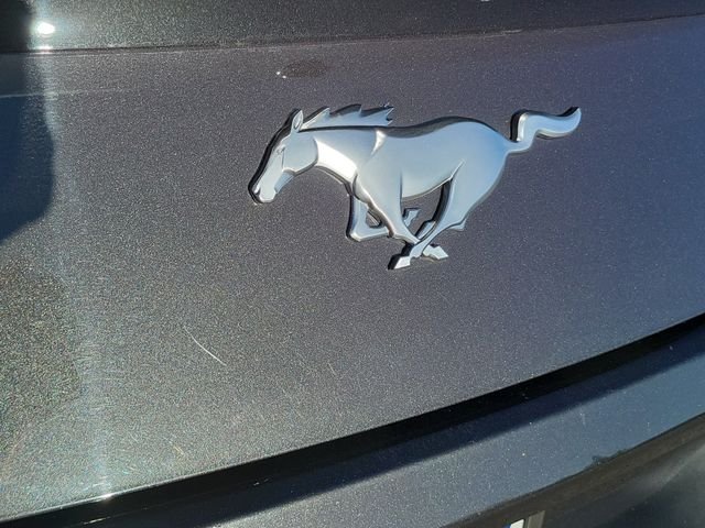 Certified Used 2024 Dark Matter Gray Metallic Ford EcoBoost image 18