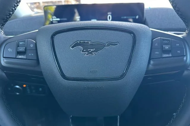 New 2026 Shadow Black Ford Premium image 45